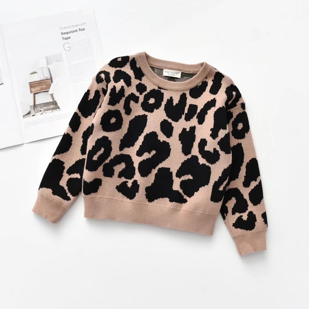 2e071f3dcd18f55a3ea1484183b2ee1a