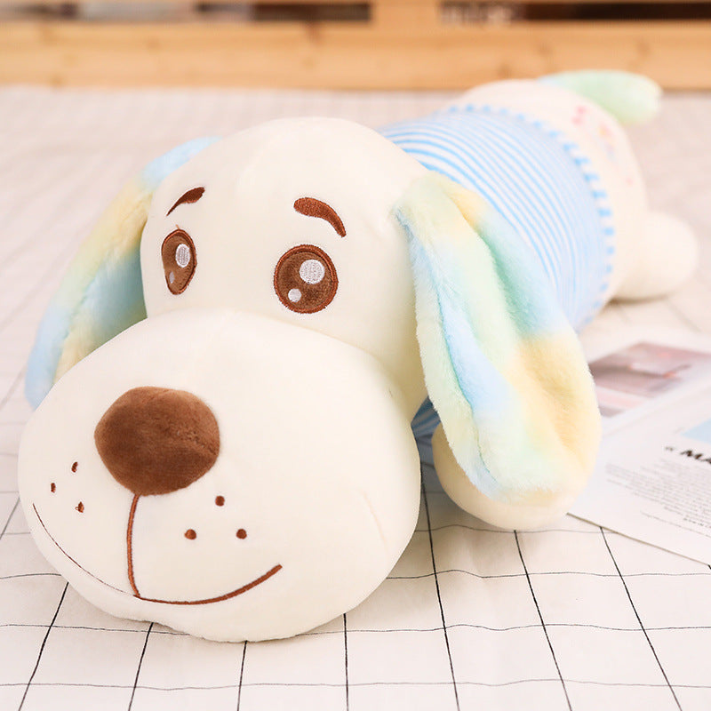 4343f0c0d7a28f5c1af3ae07191d90dc