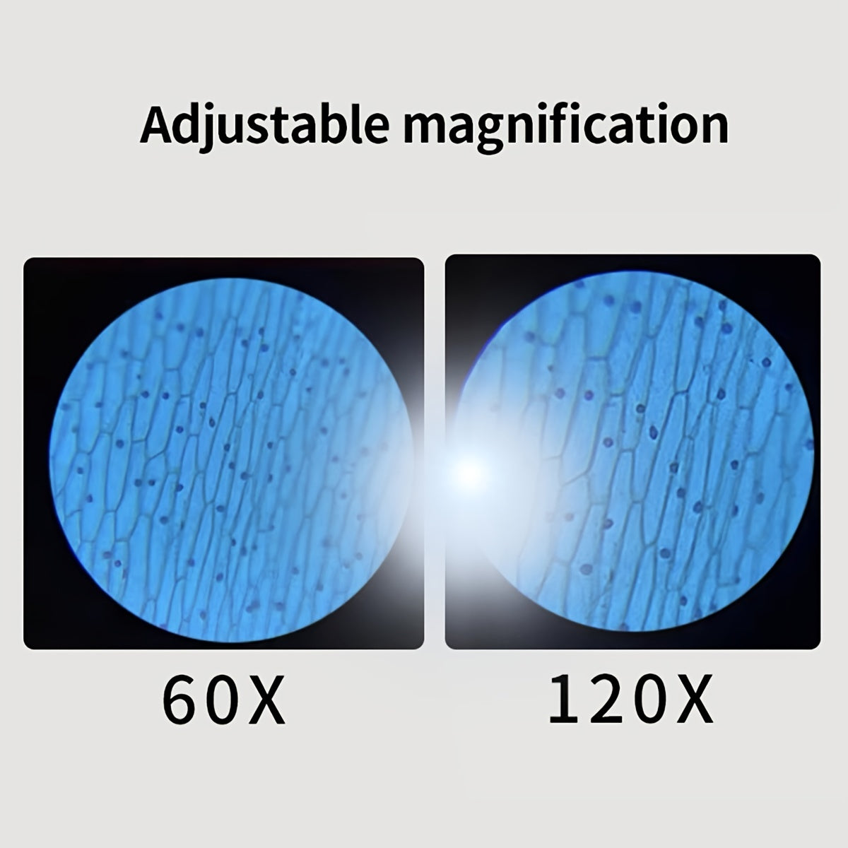 5731836aefbe08d3d8c0e91bb4042bb9