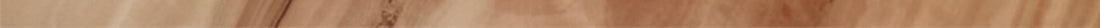 196cf544b83404dd4fdf0c6d8cfa4d5